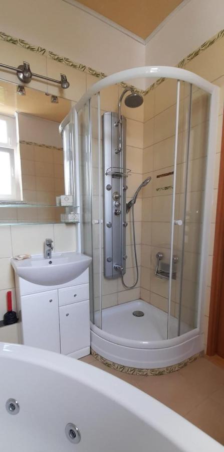 Apartament Kasztanowy Lägenhet Gliwice Exteriör bild